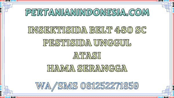 Insektisida Belt 480 SC Pestisida Unggul Atasi Hama Serangga